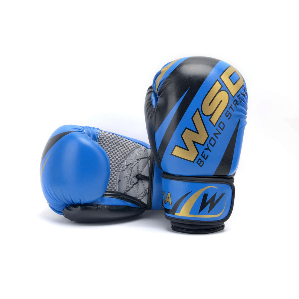 kickboxing gloves